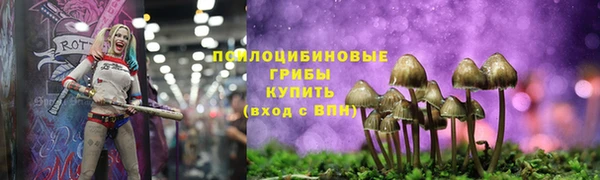 героин Ельня