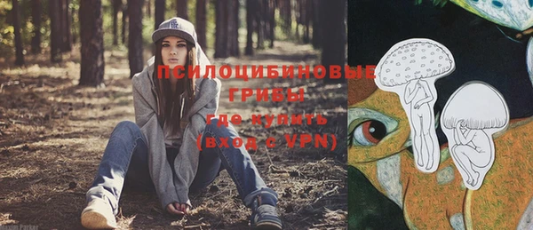 гашик Елабуга