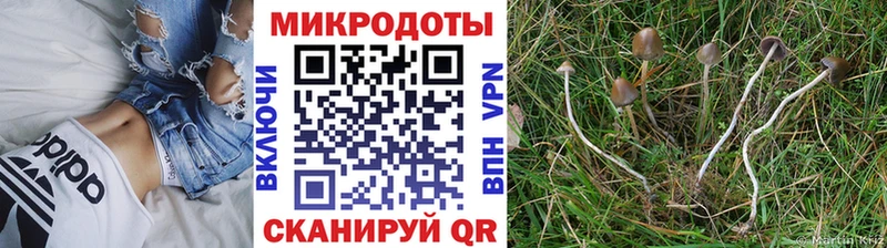 Галлюциногенные грибы ЛСД  Лихославль 
